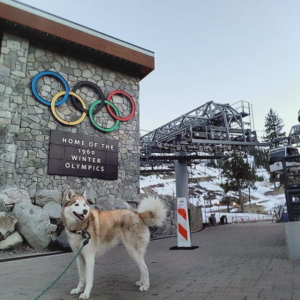 1960 Olympic Rings at Squaw Valley